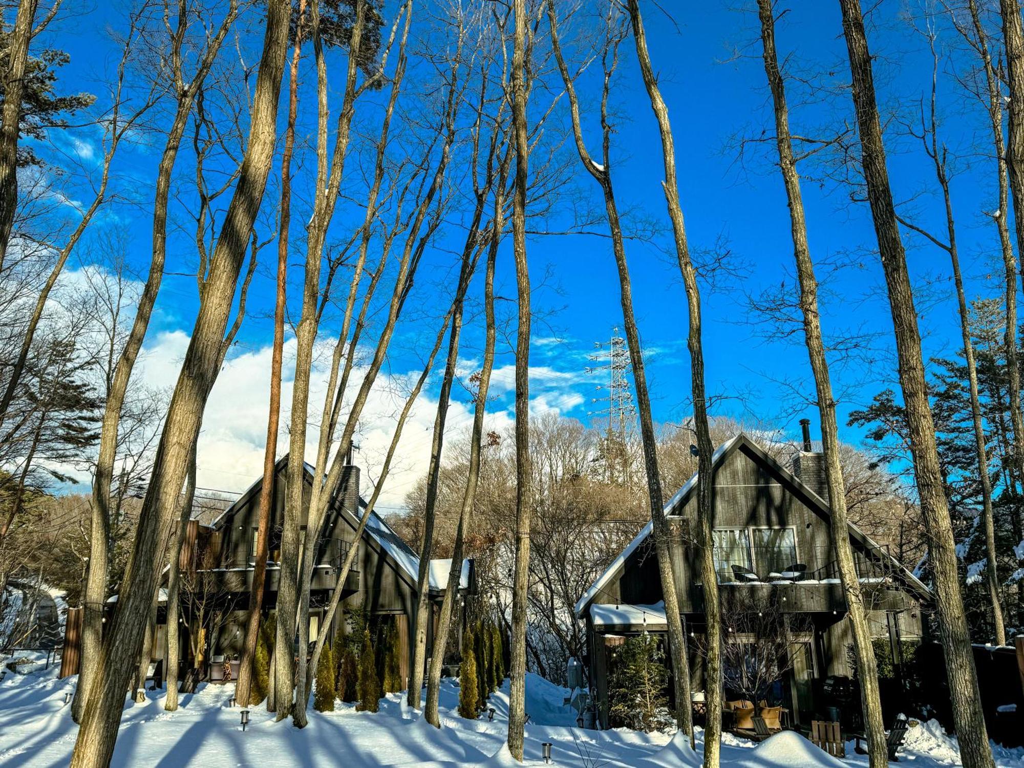 Sauna Forest Cabin 軽井沢 御代田　Mori-Asobi Oiwake Exterior photo