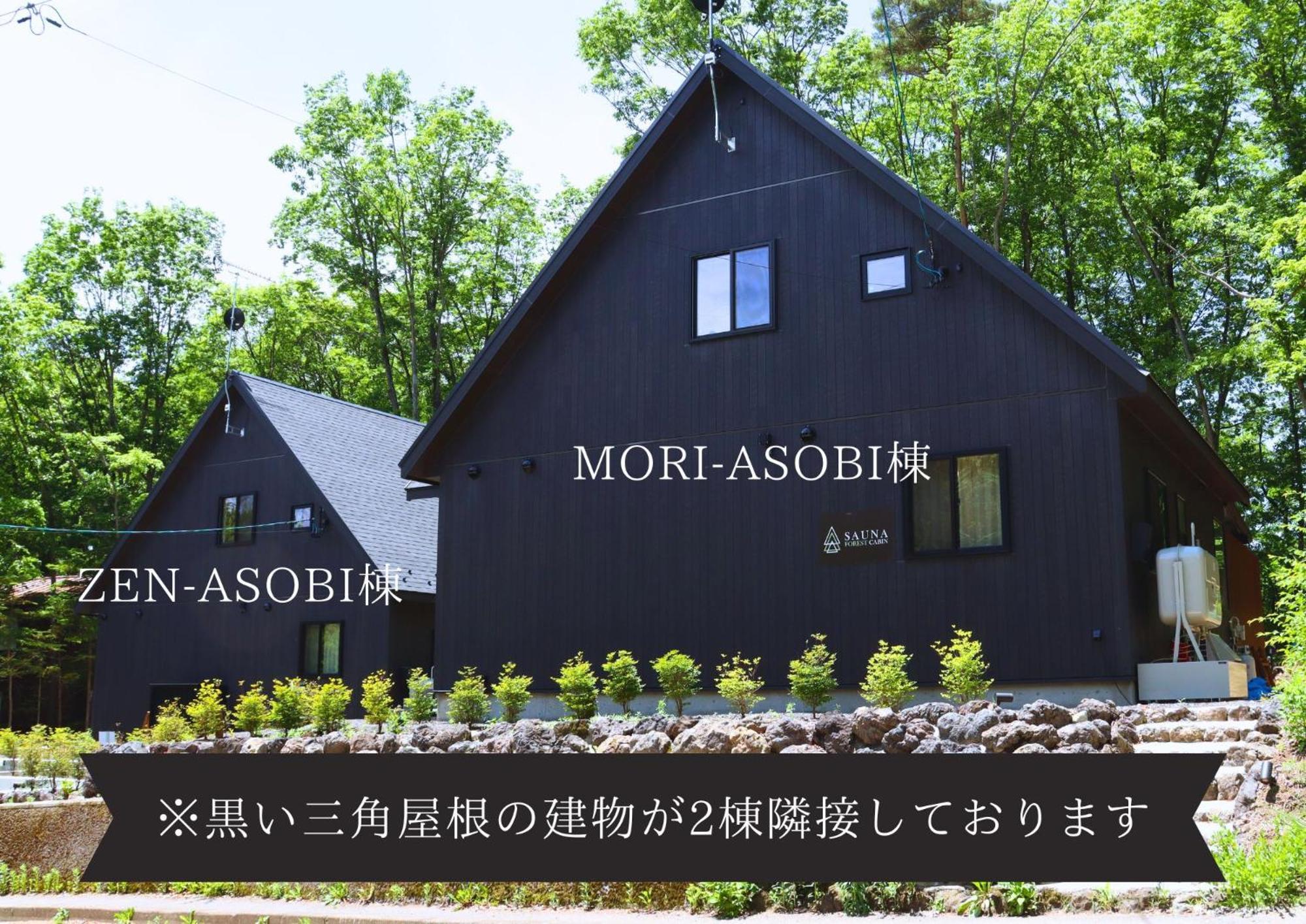 Sauna Forest Cabin 軽井沢 御代田　Mori-Asobi Oiwake Exterior photo