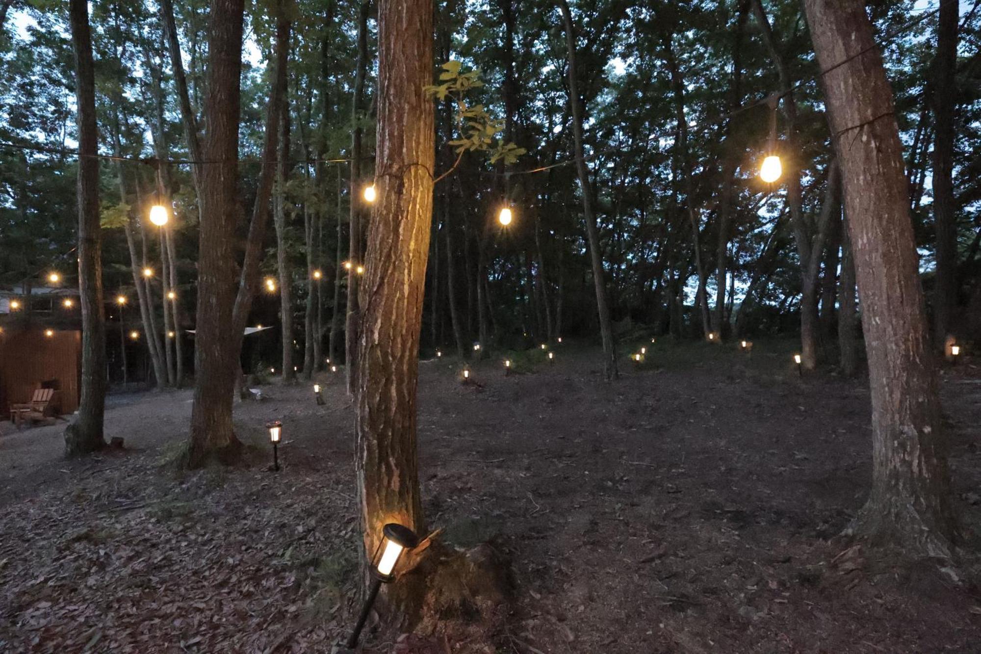 Sauna Forest Cabin 軽井沢 御代田　Mori-Asobi Oiwake Exterior photo